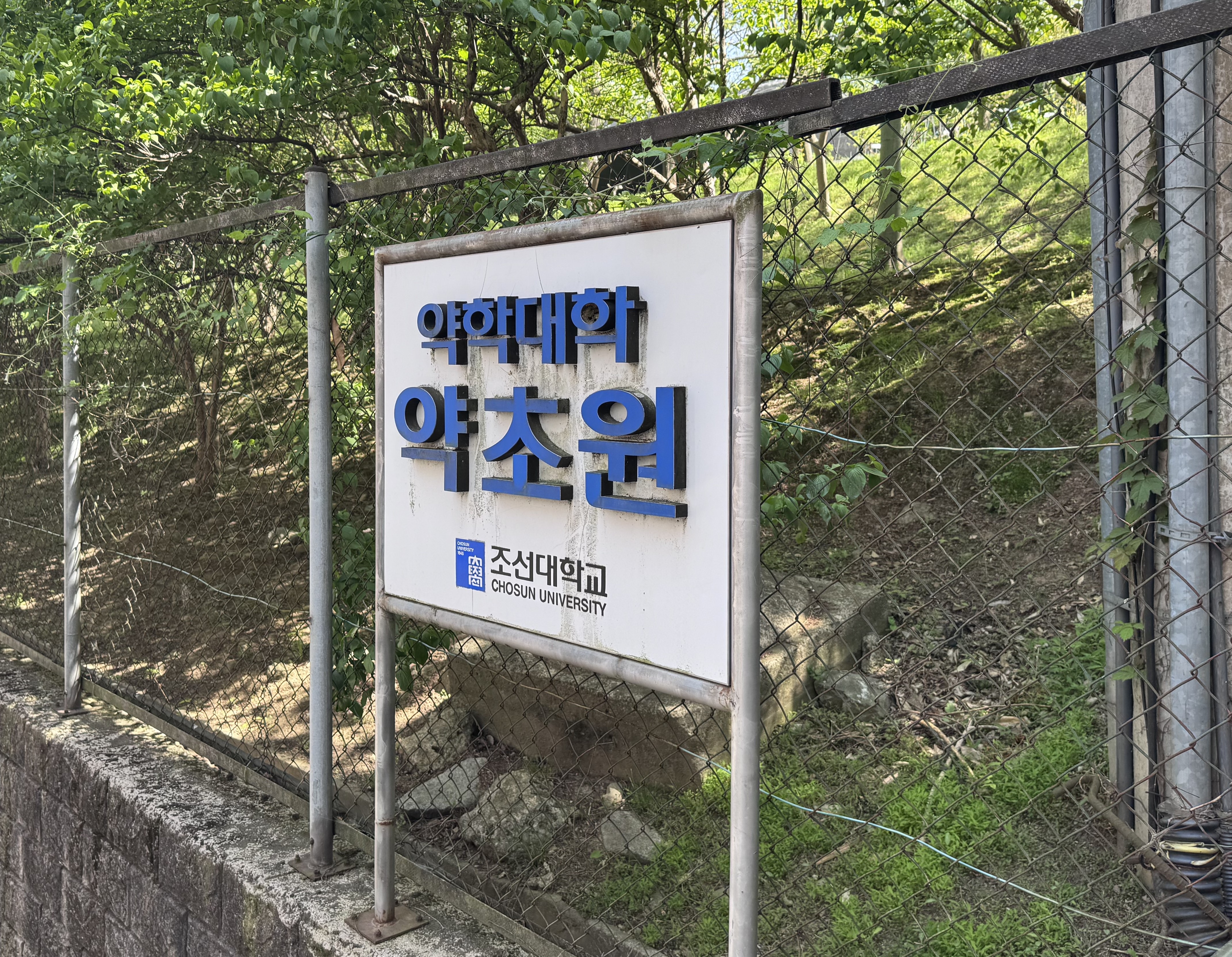 약초원 사진
